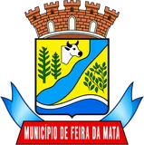 Brasão de Feira da Mata