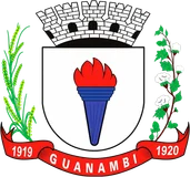 Brasão de Guanambi