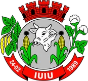 Brasão de Iuiú